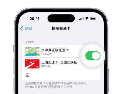 运河apple维修点分享iPhone上更换Apple Pay快捷交通卡手绘卡面 