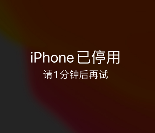 运河苹果手机维修分享:iPhone 显示“不可用”或“已停用”怎么办？还能保留数据吗？ 