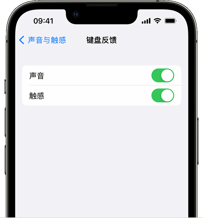 运河苹果14维修店分享如何在 iPhone 14 机型中使用触感键盘 