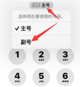 运河苹果14维修店分享iPhone 14 Pro Max使用副卡打电话的方法 