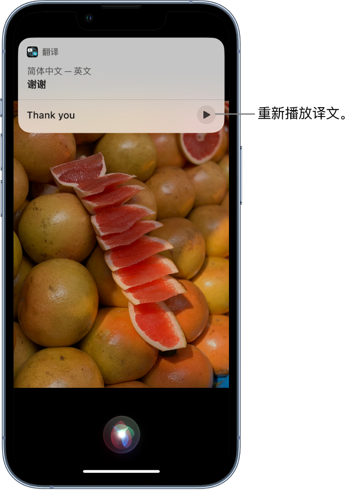 运河苹果14维修分享 iPhone 14 机型中使用 Siri：了解 Siri 能帮你做什么 