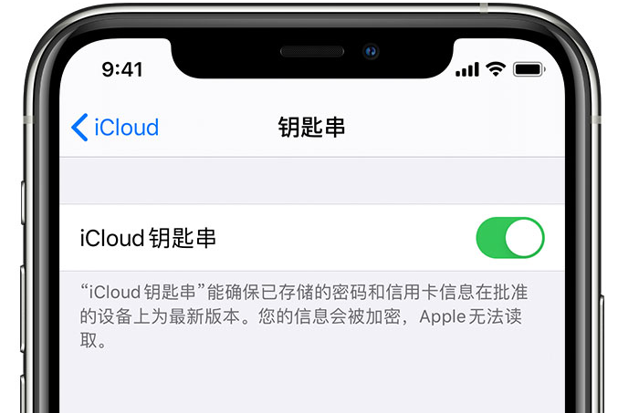 运河苹果手机维修分享在 iPhone 上开启 iCloud 钥匙串之后会储存哪些信息 