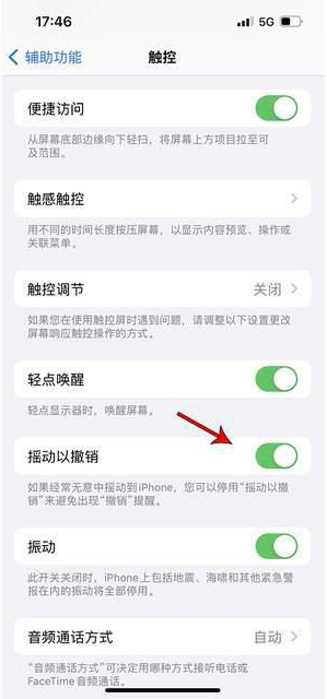 运河苹果手机维修分享iPhone手机如何设置摇一摇删除文字 